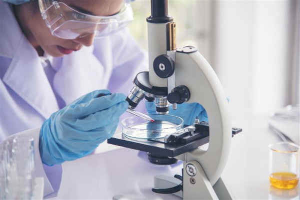 Latest Research in Stem Cell Regenerative Therapies es